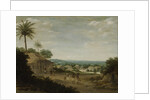 Brazilian Village by Anonymous