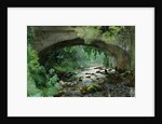 River under Old Stone Bridge by Anonymous