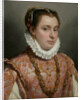 Portrait of a Young Lady by Anonymous