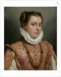 Portrait of a Young Lady by Anonymous