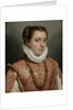 Portrait of a Young Lady by Anonymous