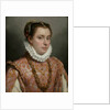 Portrait of a Young Lady by Anonymous
