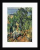 View of the Sea at LEstaque by Anonymous