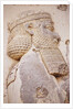 Bas-relief of King Darius I (Detail) by Anonymous