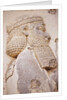 Bas-relief of King Darius I (Detail) by Anonymous