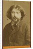 Portrait of the writer Alphonse Daudet by Anonymous