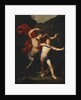 The Education of Achilles by Anonymous