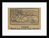 The cold-water ordeal for witches by Anonymous