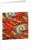 Decorative Cotton Print by Anonymous