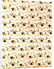 Cotton Print by Anonymous