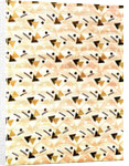Cotton Print by Anonymous