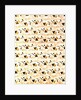Cotton Print by Anonymous