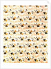 Cotton Print by Anonymous