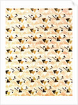 Cotton Print by Anonymous