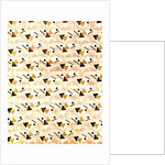 Cotton Print by Anonymous