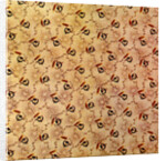 Cotton Print by Anonymous
