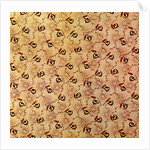 Cotton Print by Anonymous