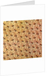 Cotton Print by Anonymous