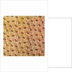 Cotton Print by Anonymous