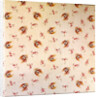 Cotton Print by Anonymous