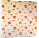 Cotton Print by Anonymous