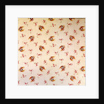 Cotton Print by Anonymous
