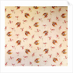 Cotton Print by Anonymous