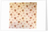 Cotton Print by Anonymous
