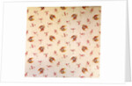 Cotton Print by Anonymous