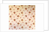 Cotton Print by Anonymous
