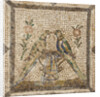 The Birds by Anonymous