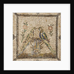 The Birds by Anonymous
