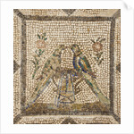 The Birds by Anonymous