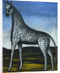 Giraffe by Anonymous