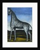 Giraffe by Anonymous