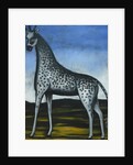 Giraffe by Anonymous