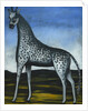 Giraffe by Anonymous