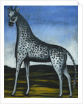 Giraffe by Anonymous