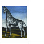 Giraffe by Anonymous