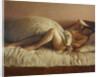 Slumbering Woman by Anonymous