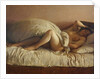 Slumbering Woman by Anonymous