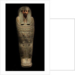The wooden coffin of Pensenhor by Anonymous