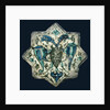 Eight-pointed Star Tile by Anonymous