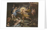 Apollo and Daphne by Anonymous