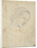 Study of a Woman by Anonymous