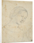 Study of a Woman by Anonymous