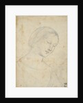 Study of a Woman by Anonymous