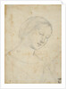 Study of a Woman by Anonymous