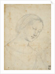 Study of a Woman by Anonymous