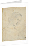 Study of a Woman by Anonymous